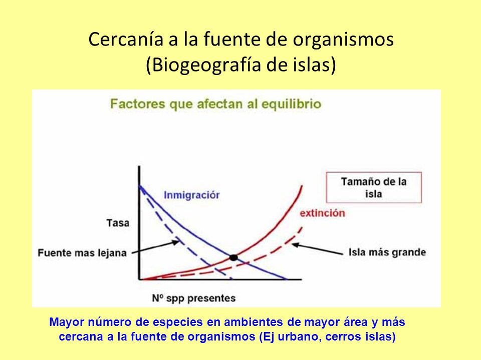 Cercanía a la fuente de organismos (Biogeografía de islas)