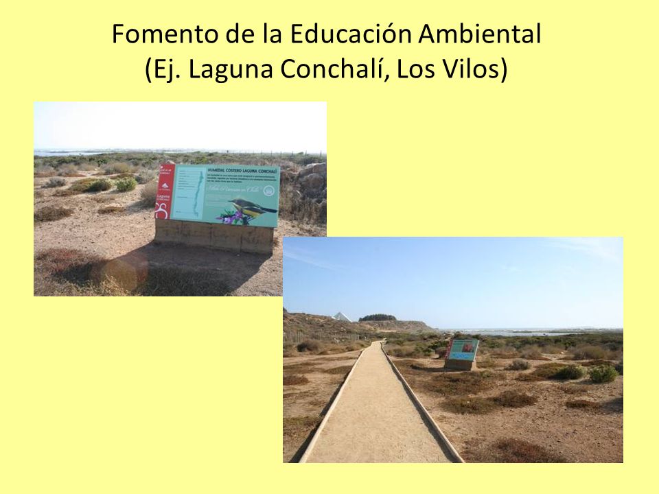 Fomento de la Educación Ambiental (Ej. Laguna Conchalí, Los Vilos)