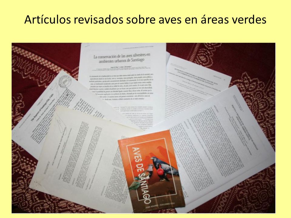 Artículos revisados sobre aves en áreas verdes