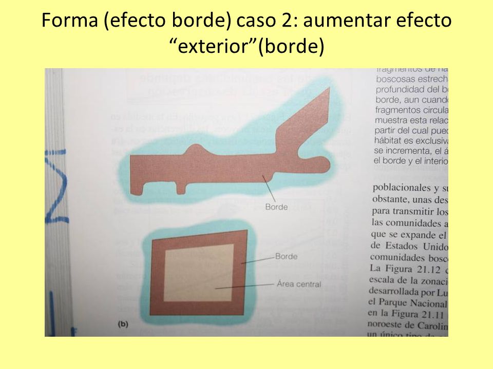 Forma (efecto borde) caso 2: aumentar efecto exterior (borde)