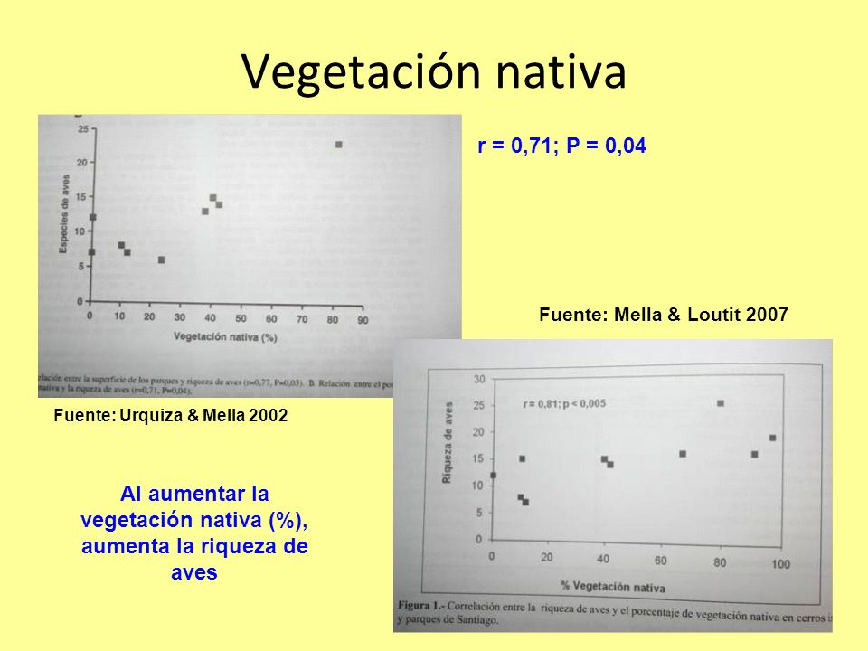 Al aumentar la vegetación nativa (%), aumenta la riqueza de aves