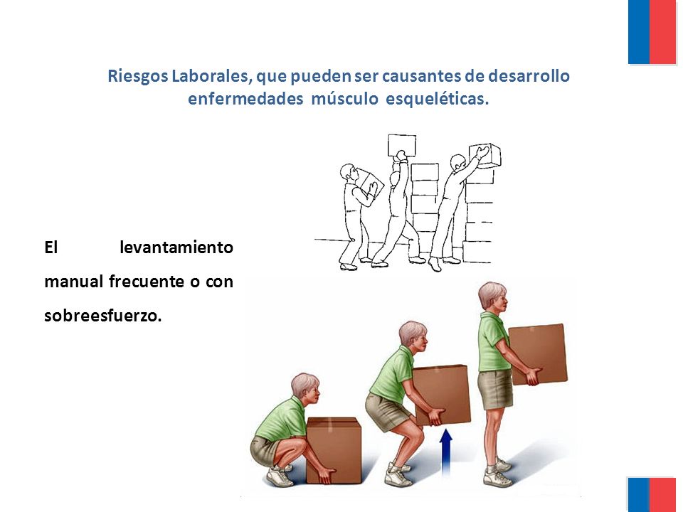 Riesgos Laborales, que pueden ser causantes de desarrollo enfermedades músculo esqueléticas.