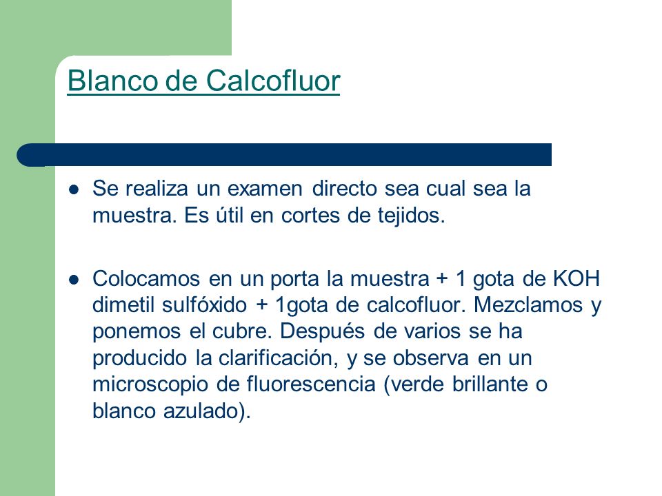 Blanco de Calcofluor Se realiza un examen directo sea cual sea la muestra. Es útil en cortes de tejidos.