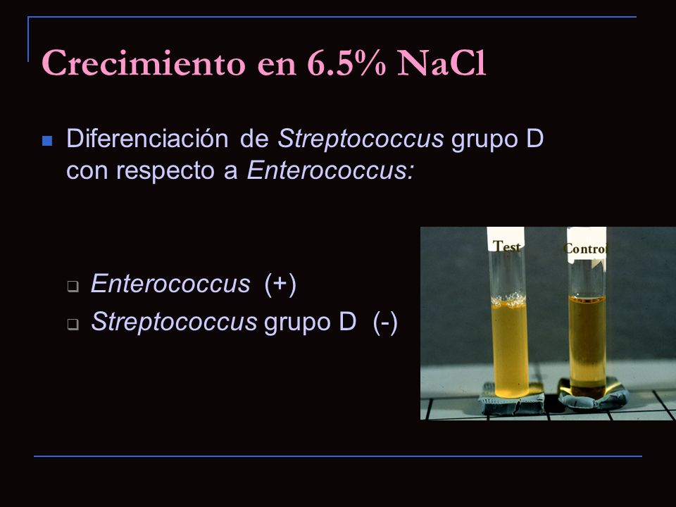 Crecimiento en 6.5% NaCl Diferenciación de Streptococcus grupo D con respecto a Enterococcus: Enterococcus (+)