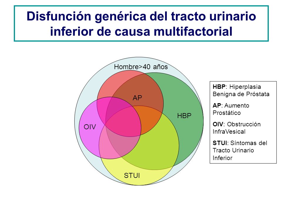 Disfunción genérica del tracto urinario inferior de causa multifactorial