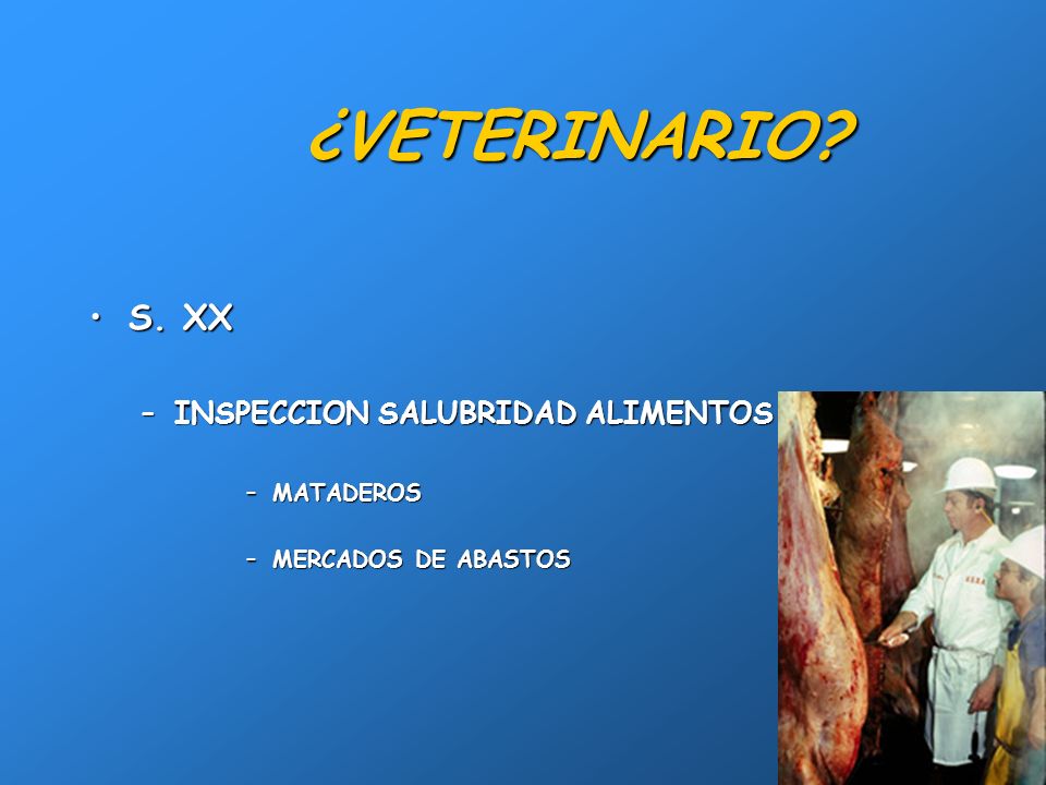 ¿VETERINARIO S. XX INSPECCION SALUBRIDAD ALIMENTOS MATADEROS