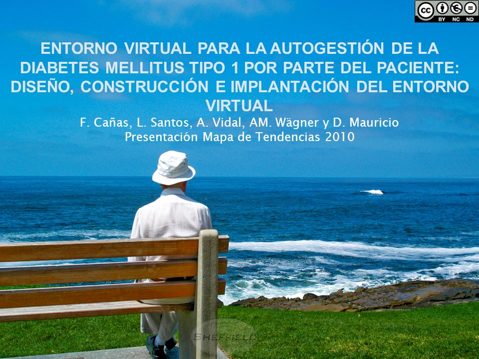 ENTORNO VIRTUAL PARA LA AUTOGESTIÓN DE LA DIABETES MELLITUS TIPO 1 POR PARTE DEL PACIENTE: DISEÑO, CONSTRUCCIÓN E IMPLANTACIÓN DEL ENTORNO VIRTUAL