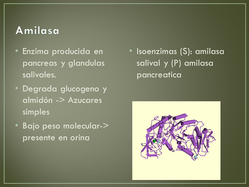 Amilasa Enzima producida en pancreas y glandulas salivales.