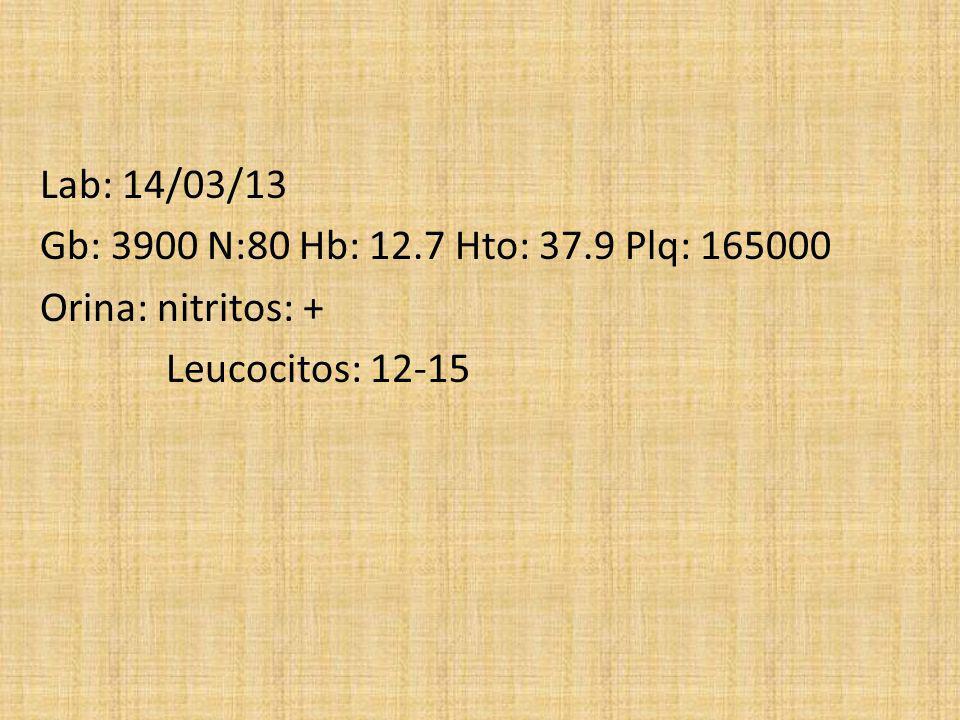 Lab: 14/03/13 Gb: 3900 N:80 Hb: 12.7 Hto: 37.9 Plq: Orina: nitritos: + Leucocitos: