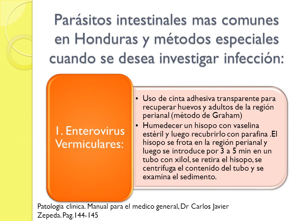 1. Enterovirus Vermiculares: