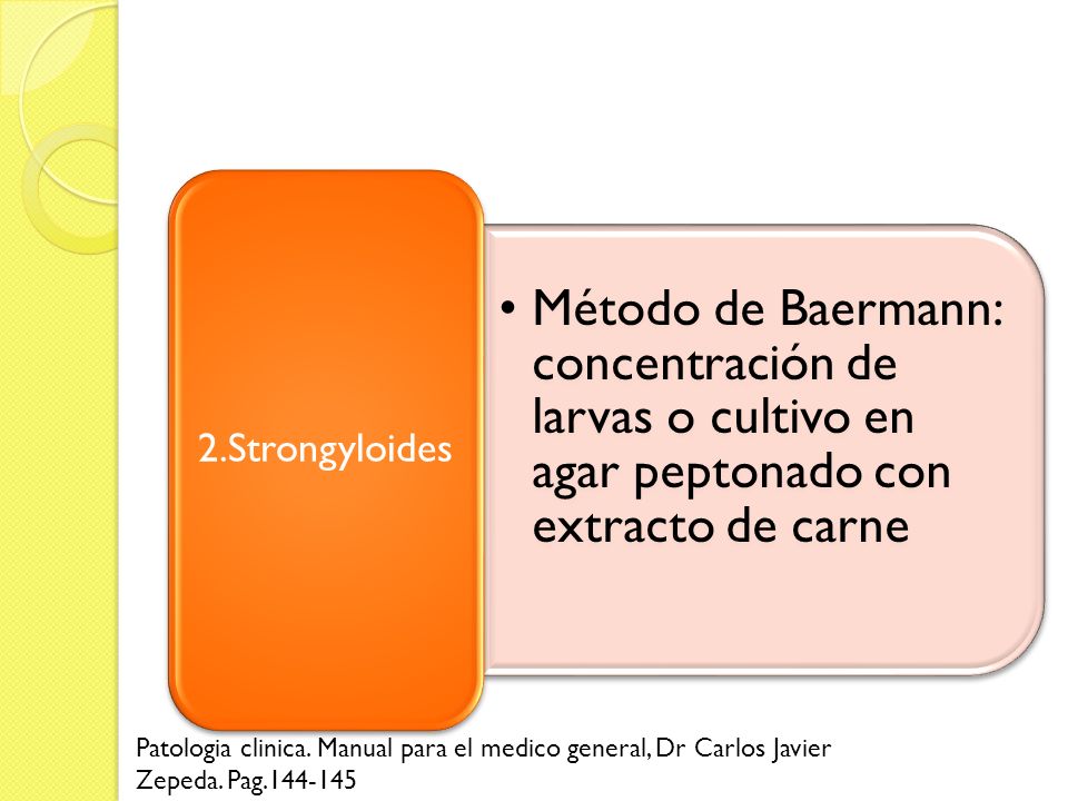 2.Strongyloides Método de Baermann: concentración de larvas o cultivo en agar peptonado con extracto de carne.
