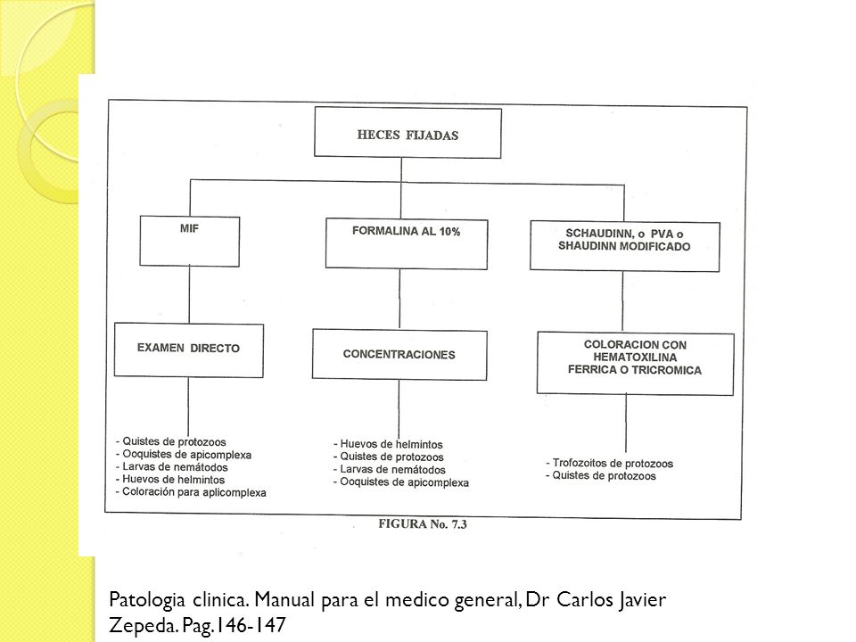 Patologia clinica. Manual para el medico general, Dr Carlos Javier Zepeda. Pag