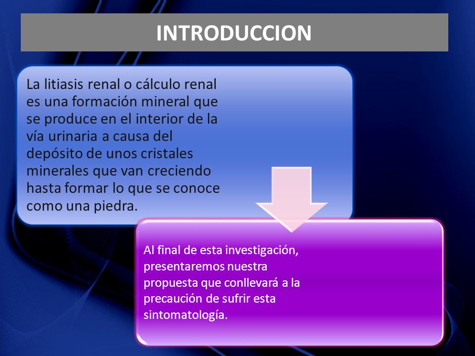 INTRODUCCION