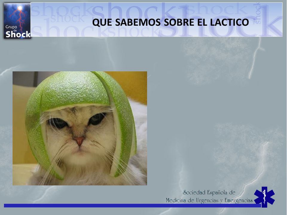QUE SABEMOS SOBRE EL LACTICO