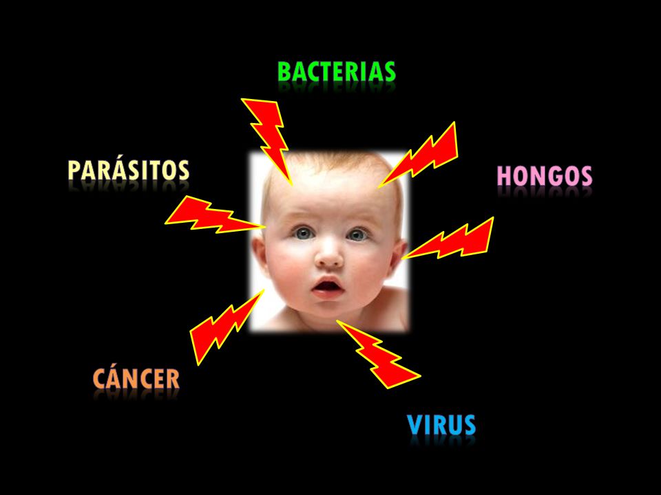 BACTERIAS parásitos HONGOS cáncer virus