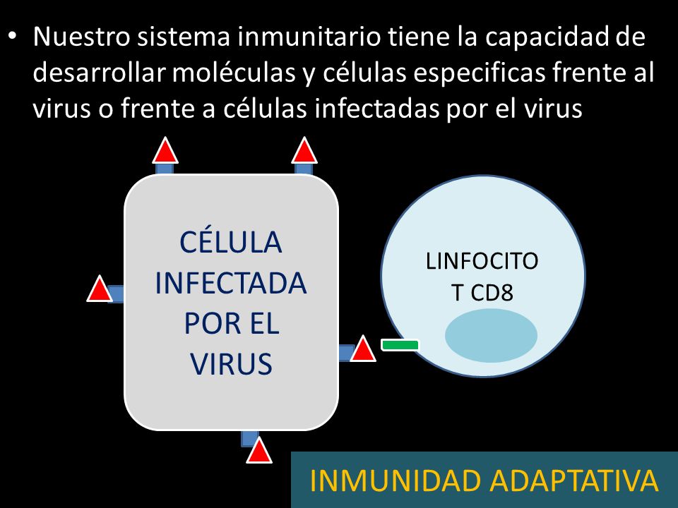 CÉLULA INFECTADA POR EL VIRUS