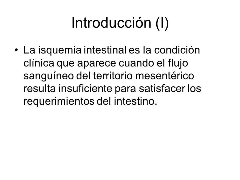 Introducción (I)
