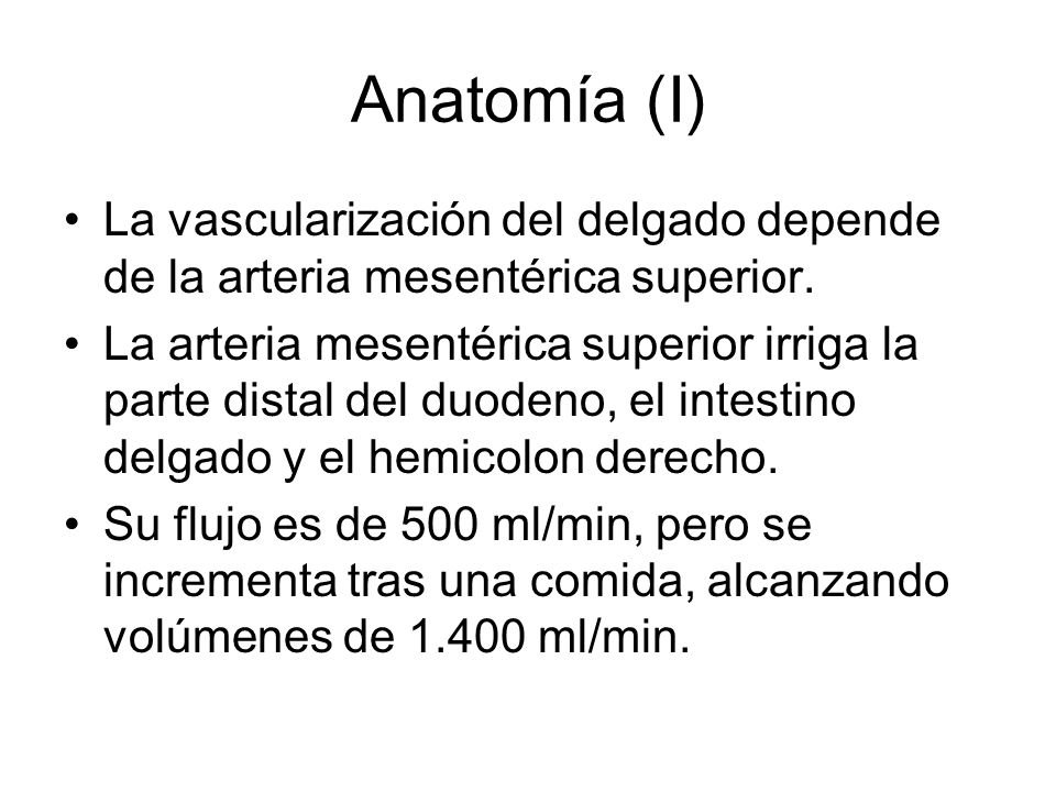 Anatomía (I) La vascularización del delgado depende de la arteria mesentérica superior.