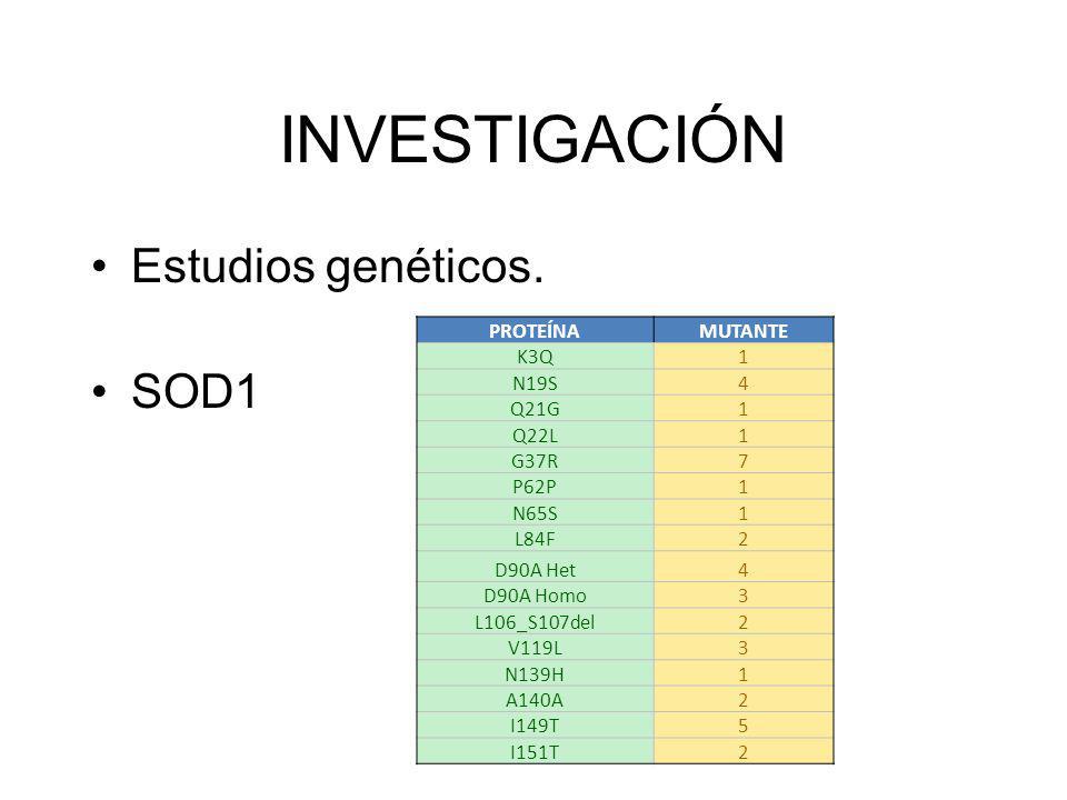 INVESTIGACIÓN Estudios genéticos. SOD1 PROTEÍNA MUTANTE K3Q 1 N19S 4