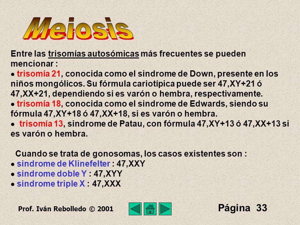 Meiosis Entre las trisomías autosómicas más frecuentes se pueden mencionar :