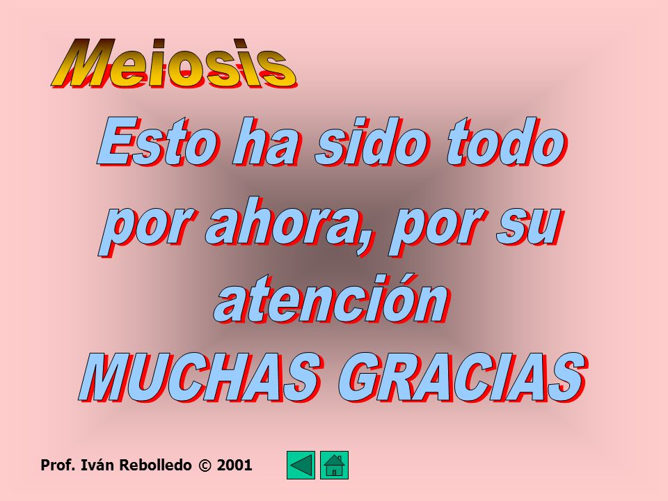 Meiosis Esto ha sido todo por ahora, por su atención MUCHAS GRACIAS