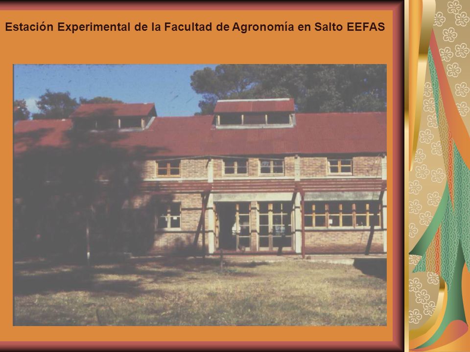 Estación Experimental de la Facultad de Agronomía en Salto EEFAS