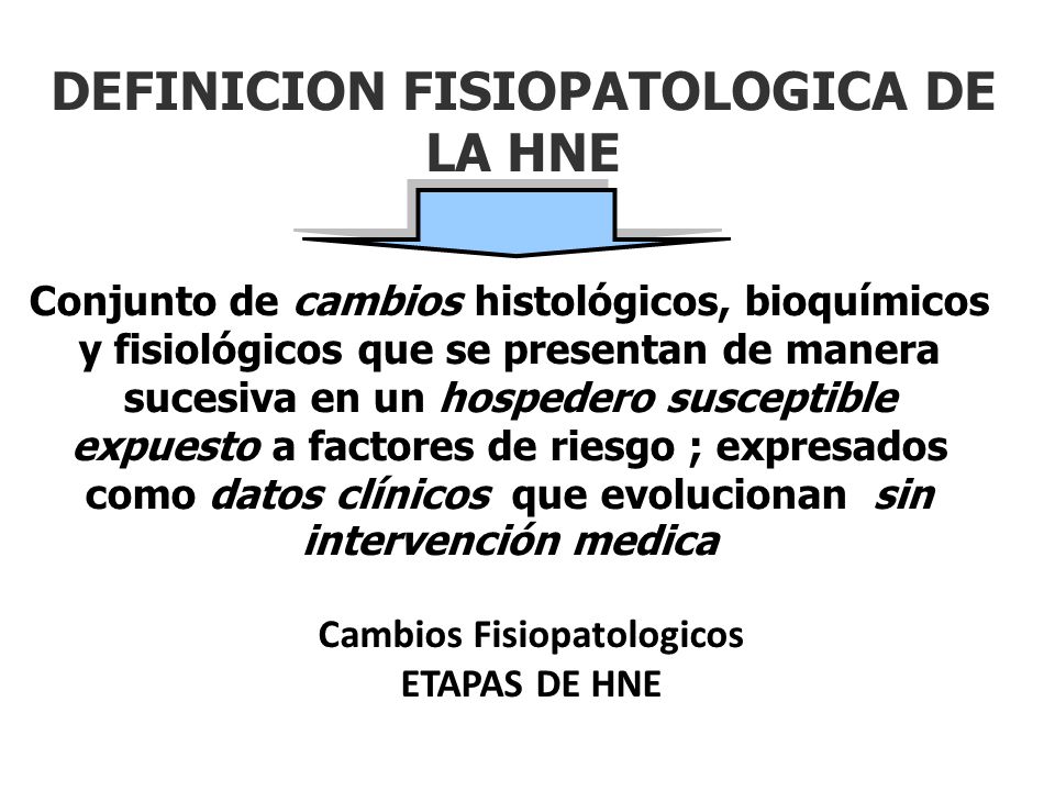 DEFINICION FISIOPATOLOGICA DE LA HNE