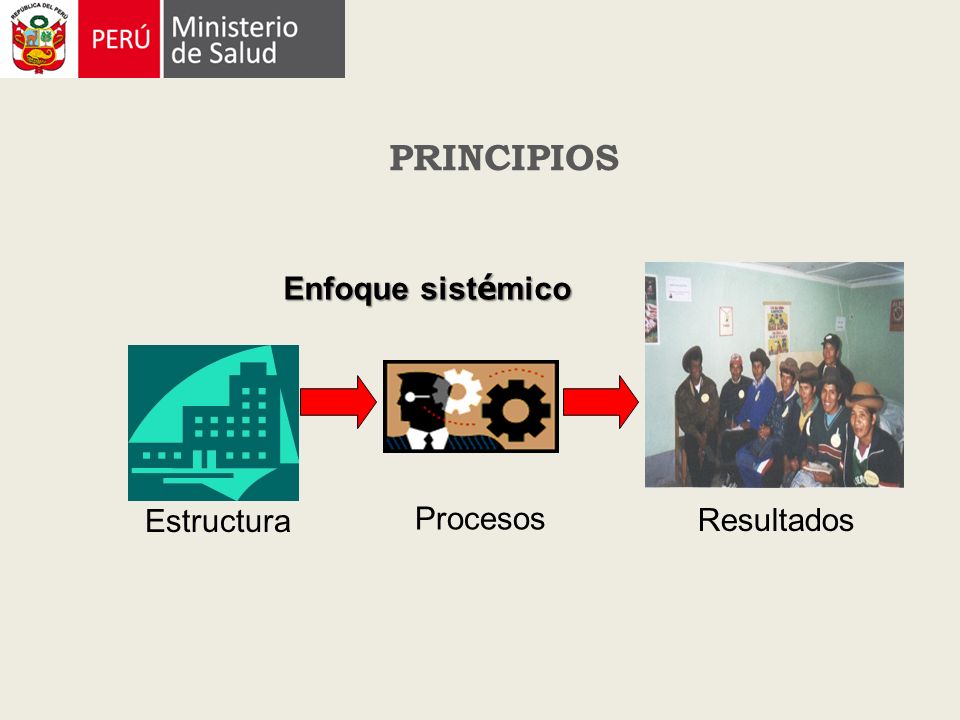 PRINCIPIOS Enfoque sistémico Estructura Procesos Resultados