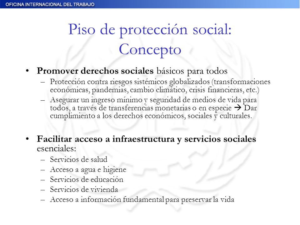 Piso de protección social: Concepto