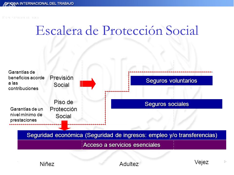Escalera de Protección Social