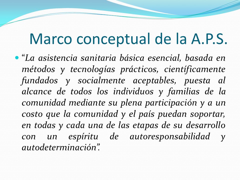 Marco conceptual de la A.P.S.