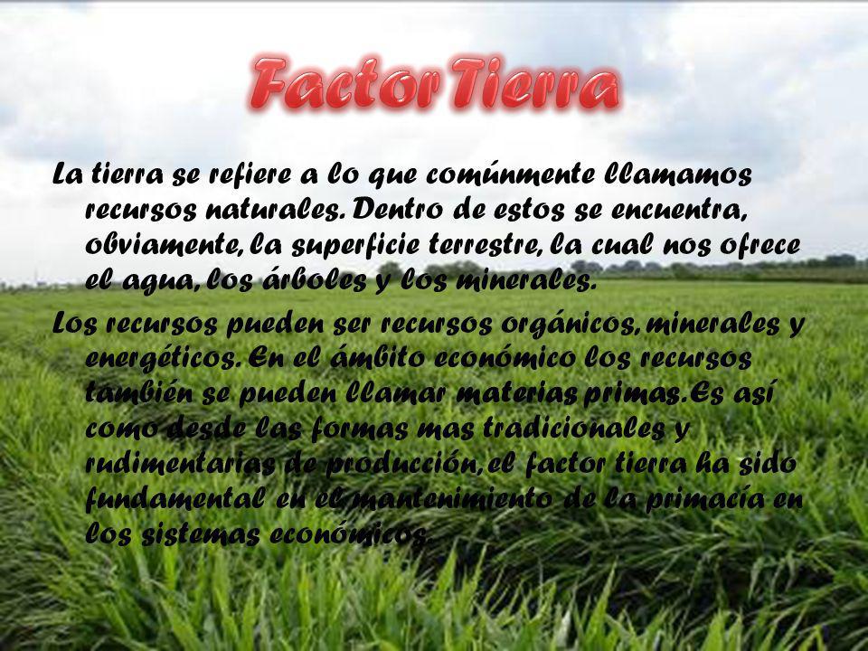 Factor Tierra