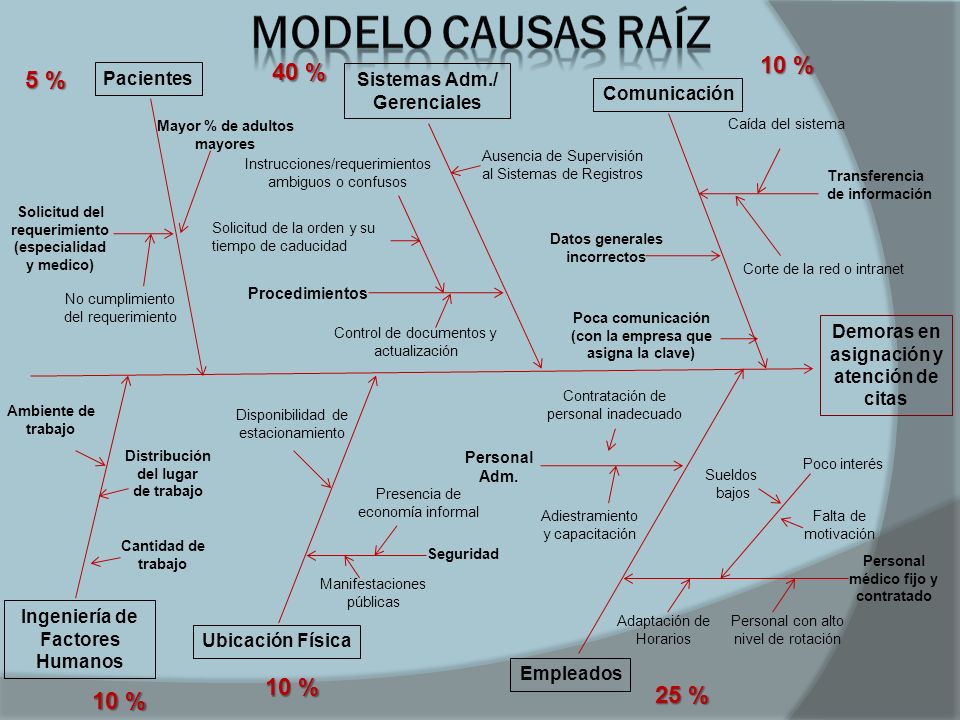Modelo Causas Raíz 10 % 40 % 5 % 10 % 25 % 10 % Pacientes