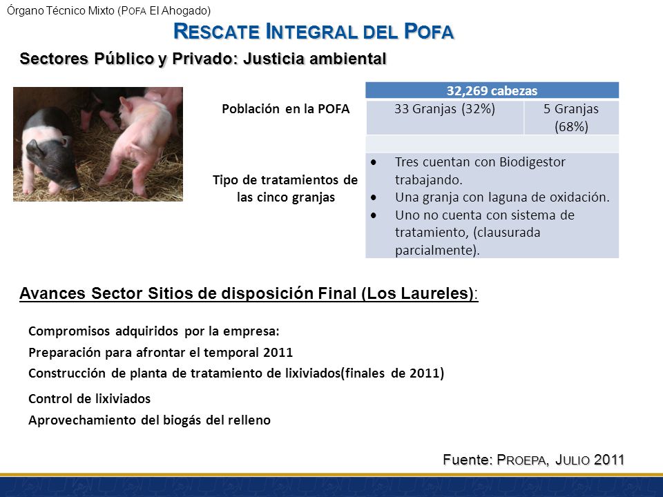 Rescate Integral del Pofa Tipo de tratamientos de las cinco granjas