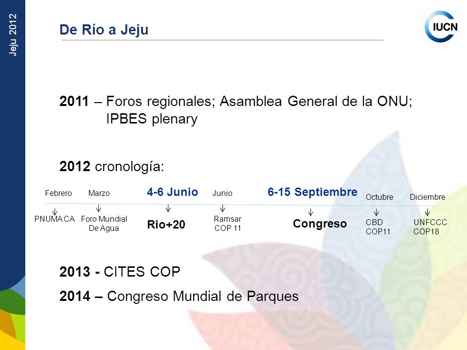 2011 – Foros regionales; Asamblea General de la ONU; IPBES plenary
