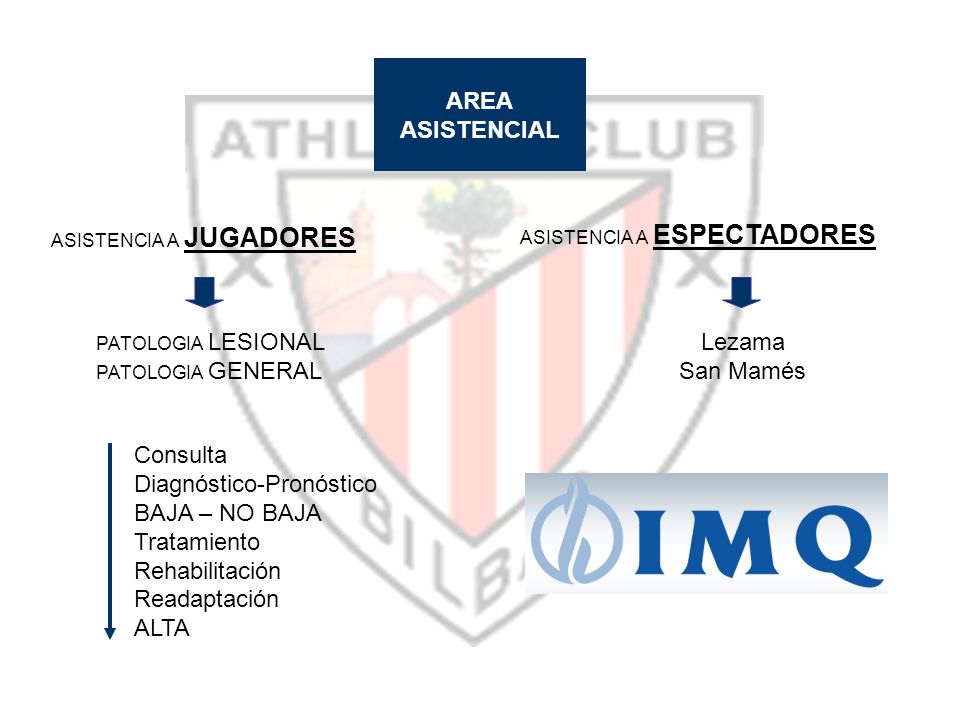 Diagnóstico-Pronóstico BAJA – NO BAJA Tratamiento Rehabilitación