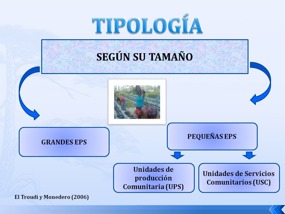 TIPOLOGÍA SEGÚN SU TAMAÑO PEQUEÑAS EPS GRANDES EPS