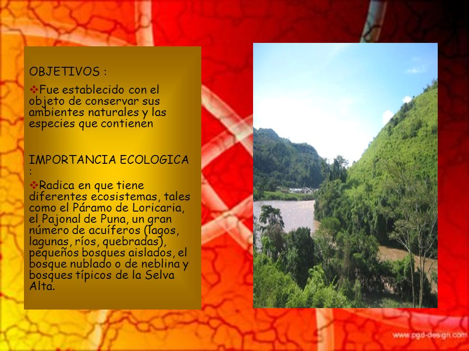 OBJETIVOS : Fue establecido con el objeto de conservar sus ambientes naturales y las especies que contienen.