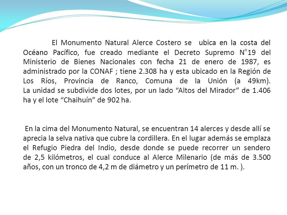 El Monumento Natural Alerce Costero se ubica en la costa del Océano Pacífico, fue creado mediante el Decreto Supremo N°19 del Ministerio de Bienes Nacionales con fecha 21 de enero de 1987, es administrado por la CONAF ; tiene ha y esta ubicado en la Región de Los Ríos, Provincia de Ranco, Comuna de la Unión (a 49km). La unidad se subdivide dos lotes, por un lado Altos del Mirador de ha y el lote Chaihuín de 902 ha.