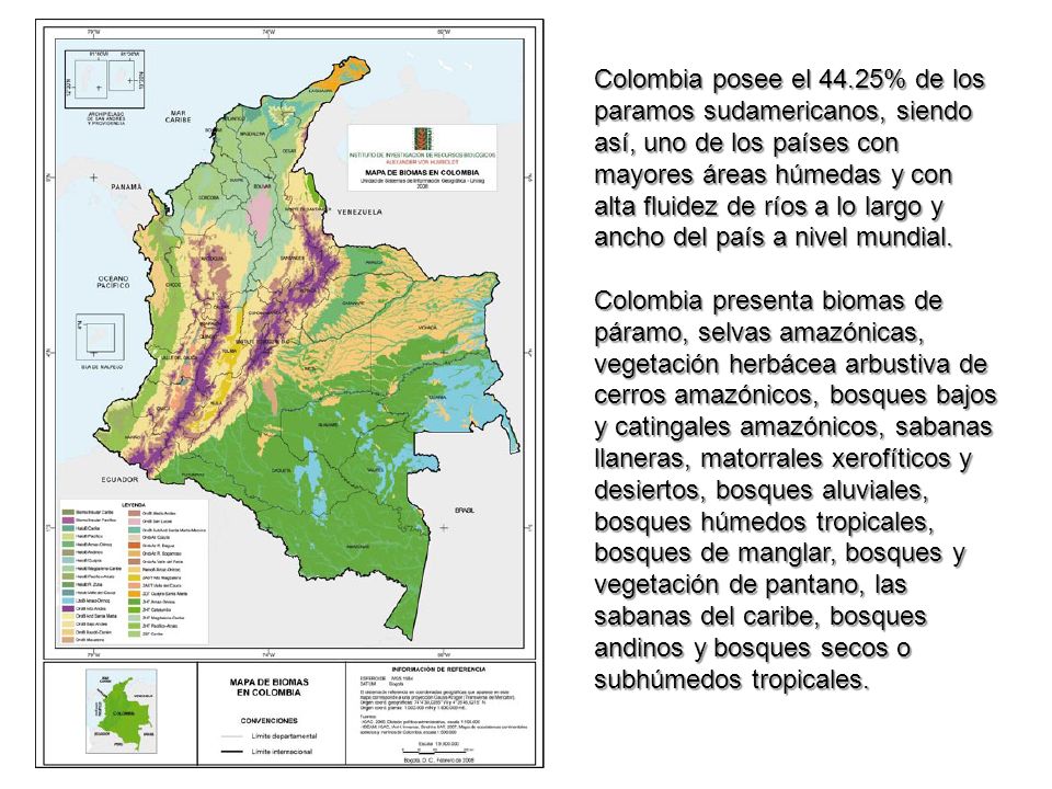 Colombia posee el 44.25% de los paramos sudamericanos, siendo así, uno de los países con mayores áreas húmedas y con alta fluidez de ríos a lo largo y ancho del país a nivel mundial.