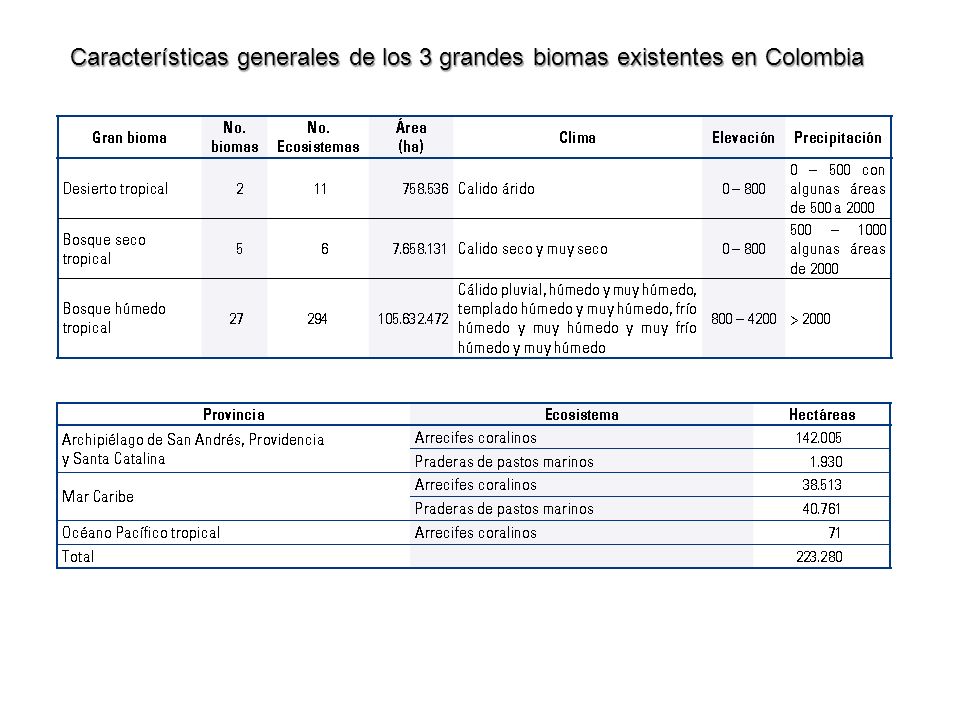 Características generales de los 3 grandes biomas existentes en Colombia