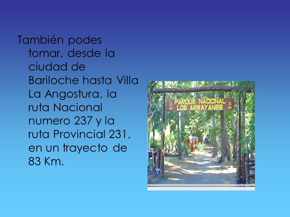 También podes tomar, desde la ciudad de Bariloche hasta Villa La Angostura, la ruta Nacional numero 237 y la ruta Provincial 231, en un trayecto de 83 Km.