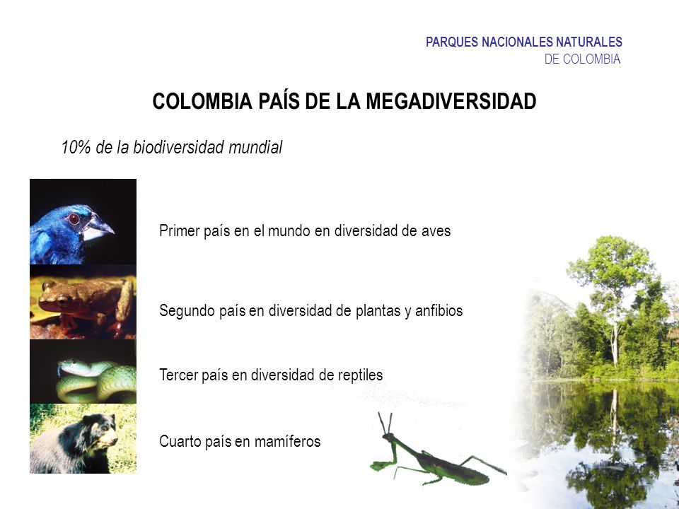 COLOMBIA PAÍS DE LA MEGADIVERSIDAD