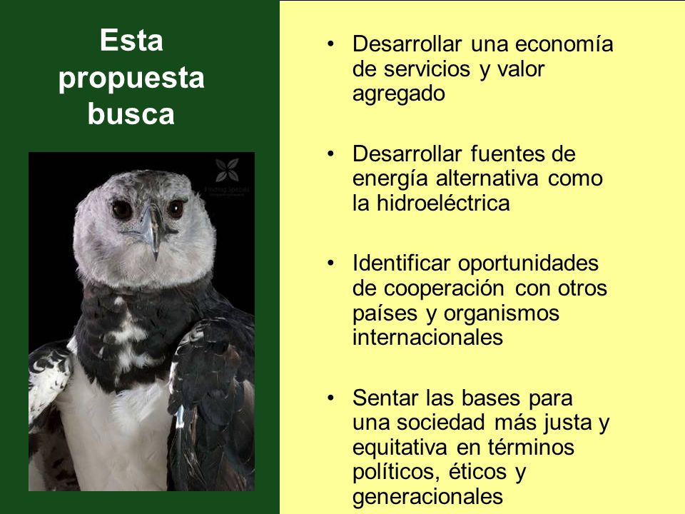 Esta propuesta busca Desarrollar una economía de servicios y valor agregado. Desarrollar fuentes de energía alternativa como la hidroeléctrica.