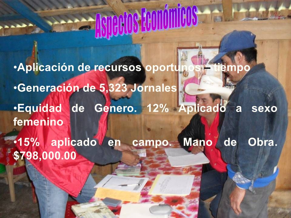 Aspectos Económicos Aplicación de recursos oportunos – tiempo. Generación de 5,323 Jornales. Equidad de Genero. 12% Aplicado a sexo femenino.