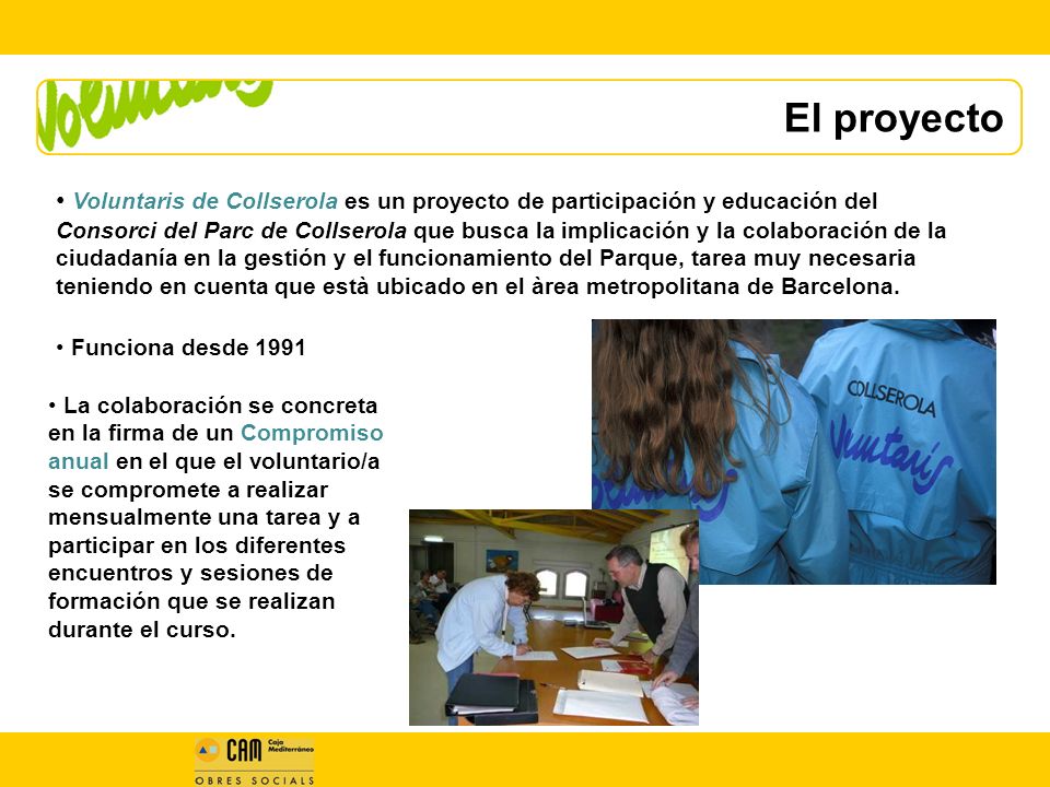 El proyecto
