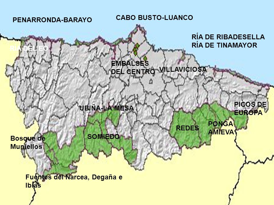 CABO BUSTO-LUANCO PENARRONDA-BARAYO. RÍA DE RIBADESELLA. RÍA DE TINAMAYOR. RÍA DEL EO. EMBALSES.