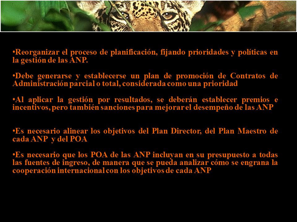 Reorganizar el proceso de planificación, fijando prioridades y políticas en la gestión de las ANP.