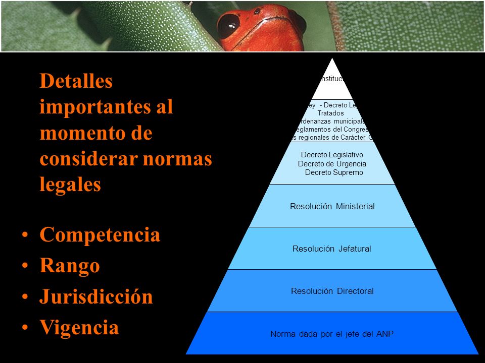 Detalles importantes al momento de considerar normas legales