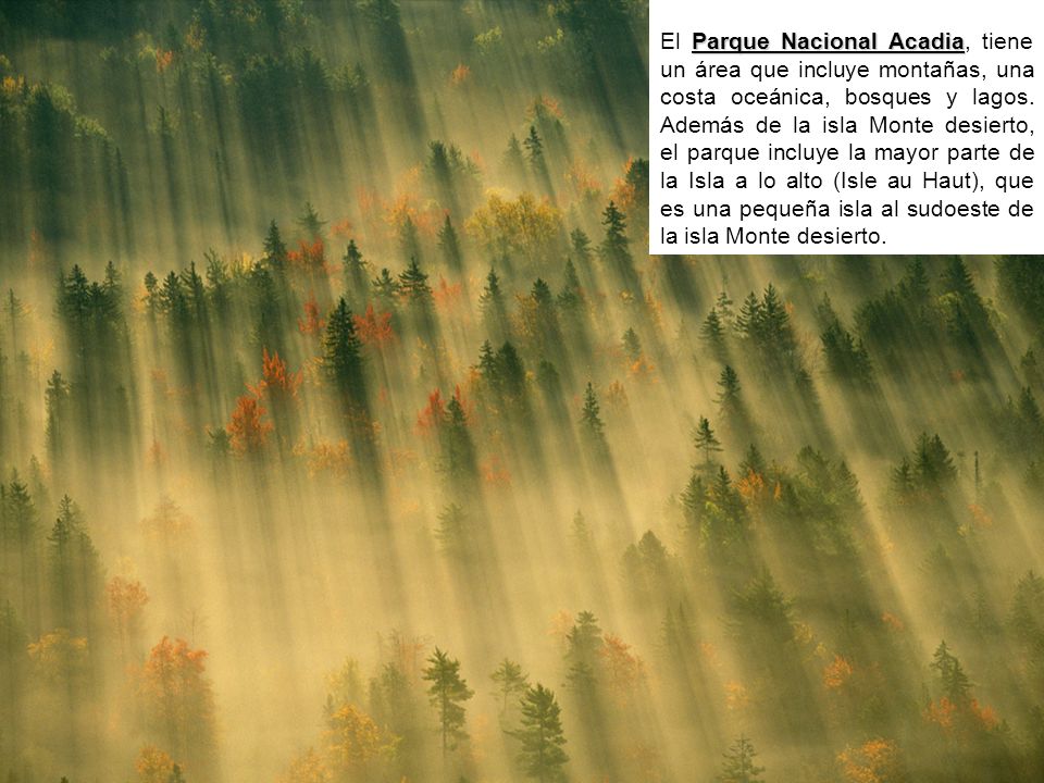 El Parque Nacional Acadia, tiene un área que incluye montañas, una costa oceánica, bosques y lagos.